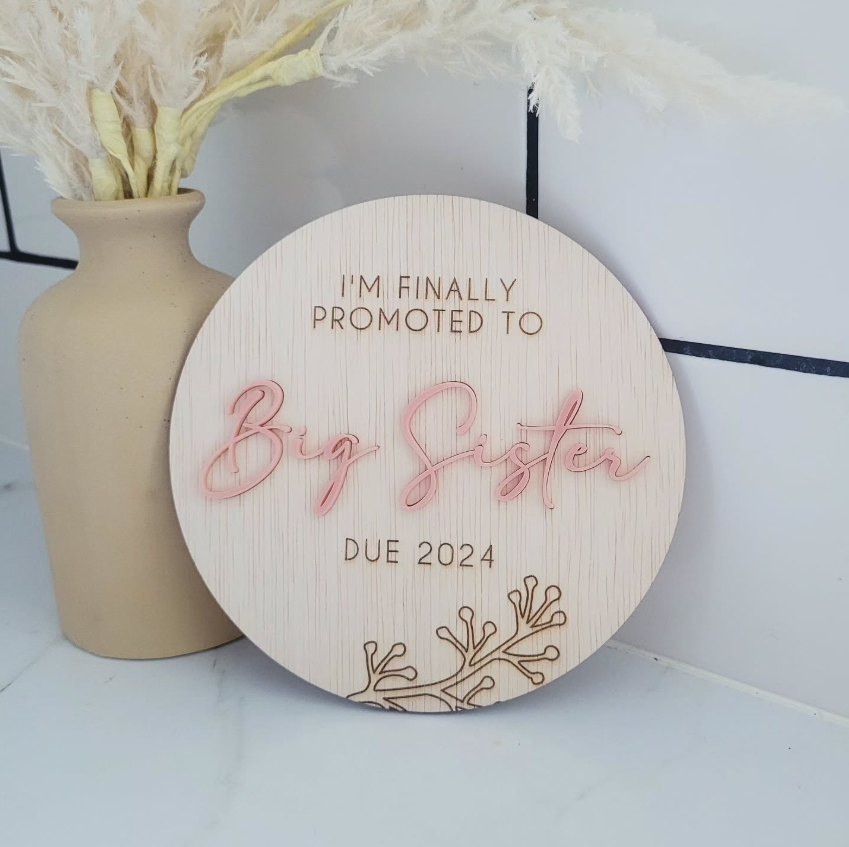 Promoted to Big Sister | Baby Plaque | Big Brother detail view