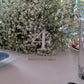 Acrylic Table Numbers detail view